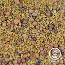 Handy Pantry 3 Part Salad Mix - Organic - Sprouting Seeds