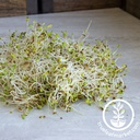 Handy Pantry Alfalfa - Organic - Sprouting Seeds