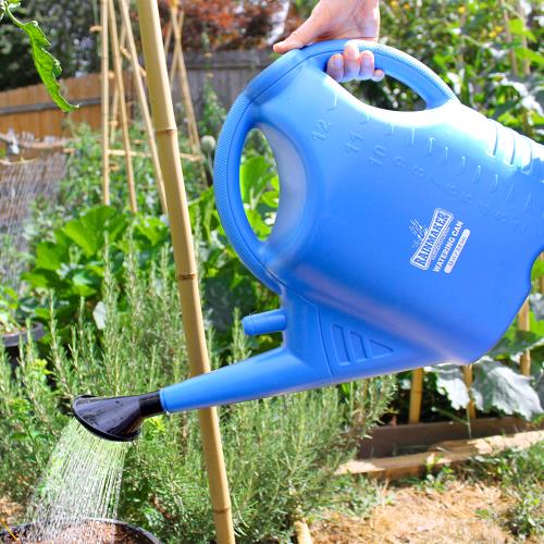 Rainmaker Watering Can