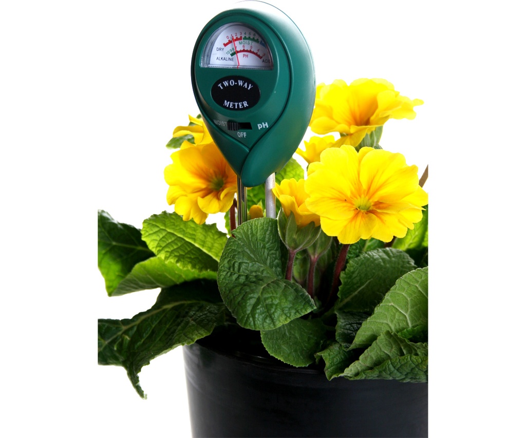 Active Air 2-Way Moisture/pH Meter