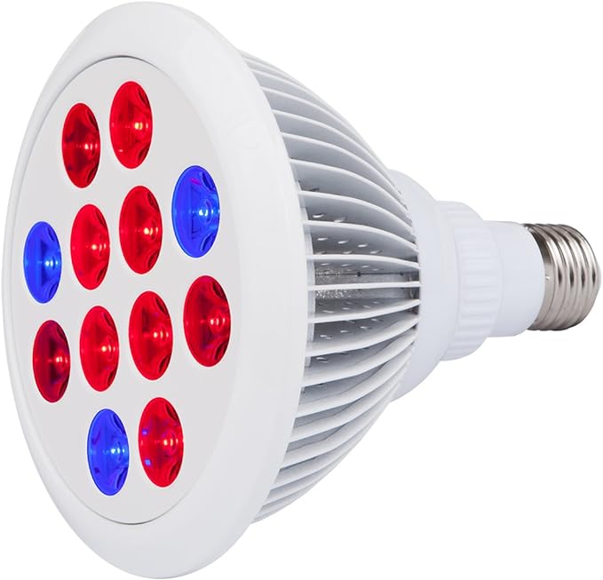 CIRRUS LED EVO F, 24 watt