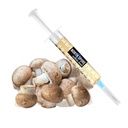 North Spore Liquid Culture Syringe Gourmet Mushrooms, 10 cc