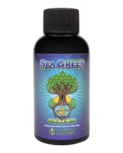 Primordial Solutions Sea Green (1-0.5-4)