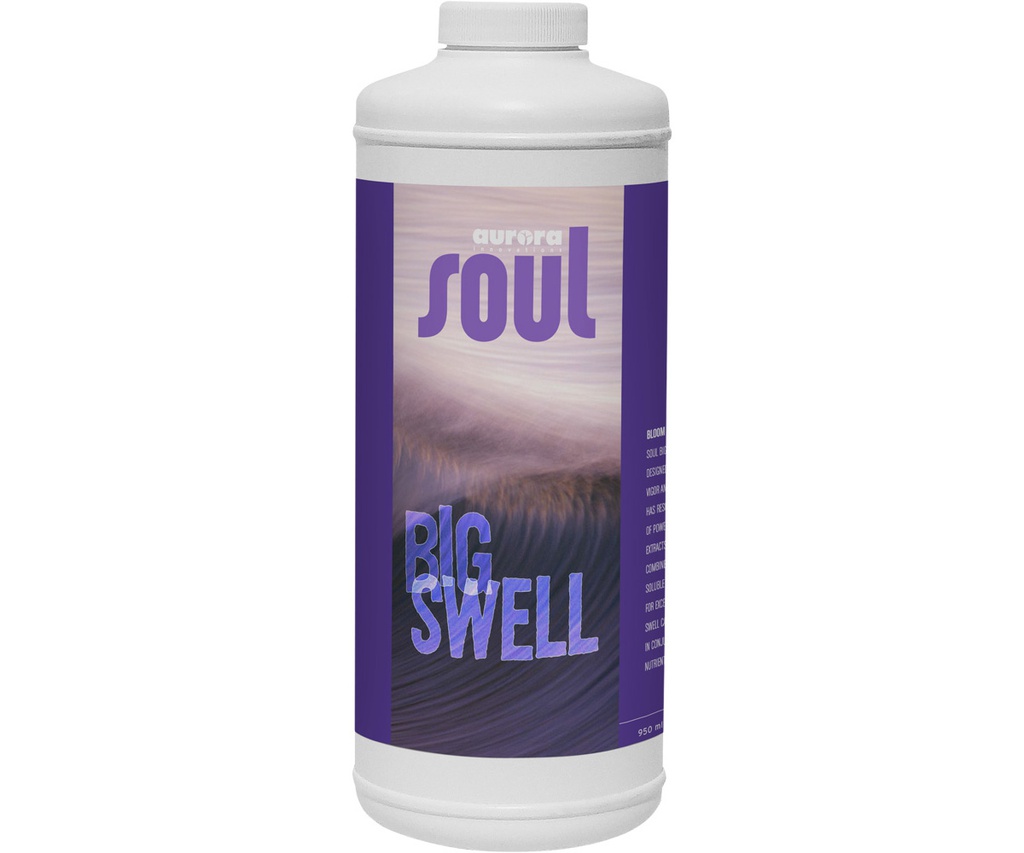 Soul Big Swell 2-5-3