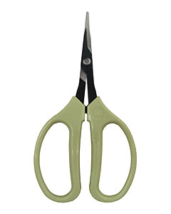 ARS Grape Scissors Straight