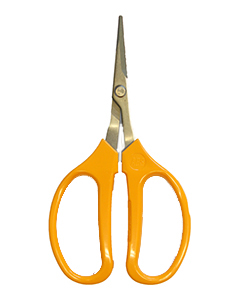 ARS Grape Scissors Angled