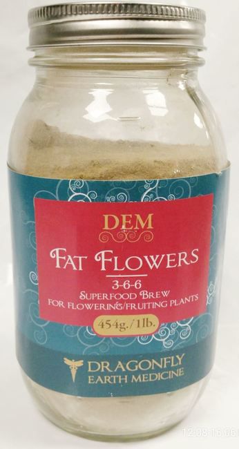 Dragonfly Earth Medicine Fat Flowers