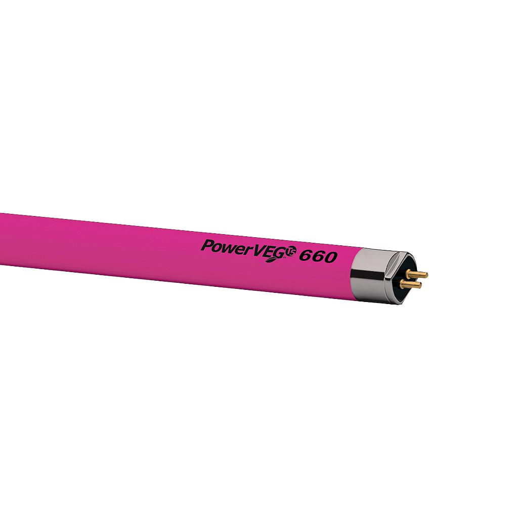 Eye PowerVEG 660 T5 High Output Fluorescent Lamp