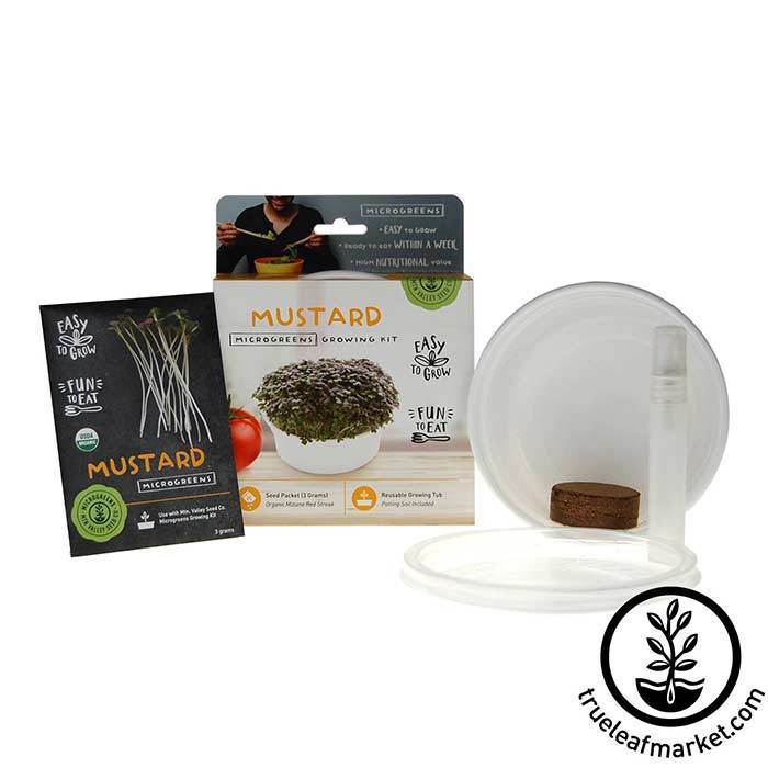 Mountain Valley Seed Company Mini Microgreens Growing Kits (Organic) Mustard