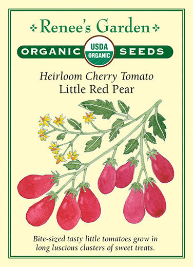 Renee's Garden Heirloom Tomato Cherry Little Red Pear