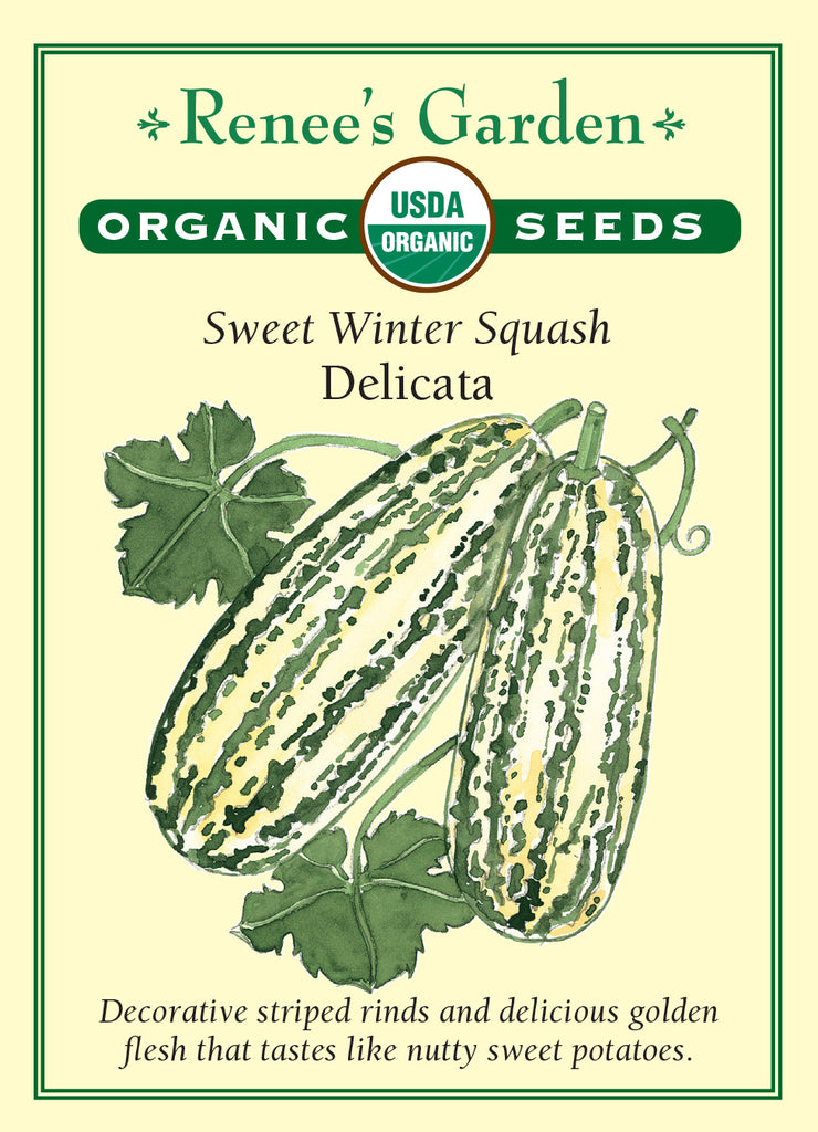 Renee's Garden Sweet Winter Squash Delicata