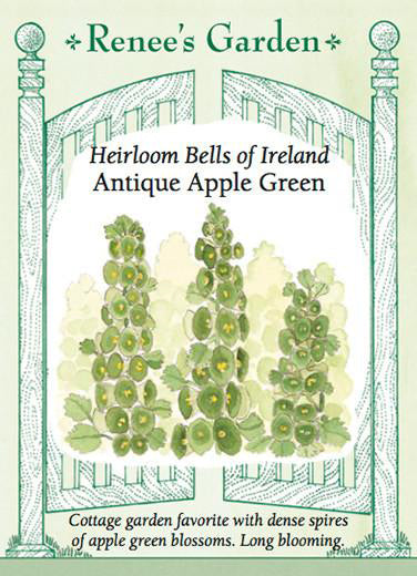 Renee's Garden Heirloom Bells of Ireland Antique Apple Green