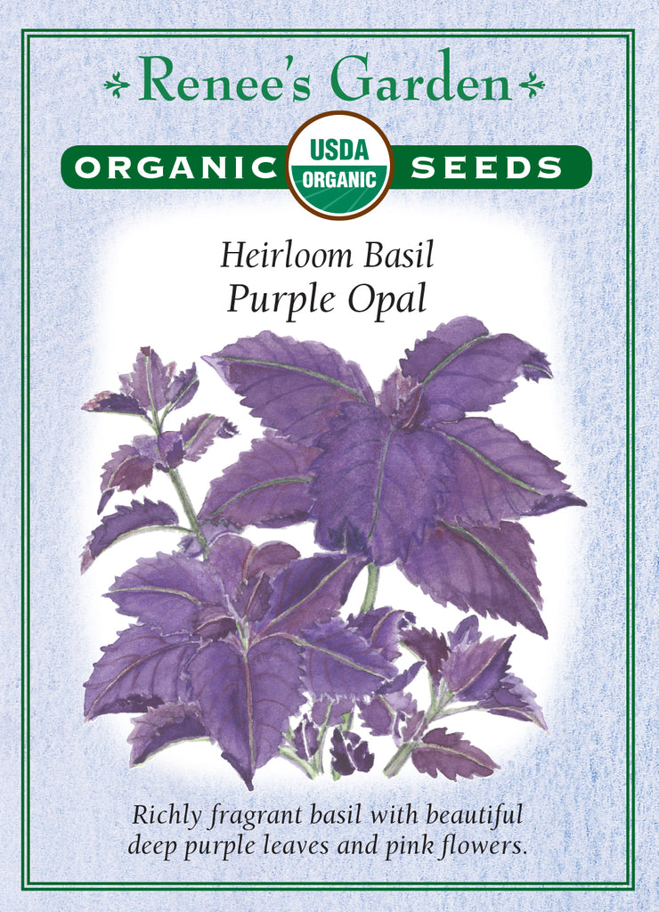 Renee's Garden Heirloom Basil Purple Opal