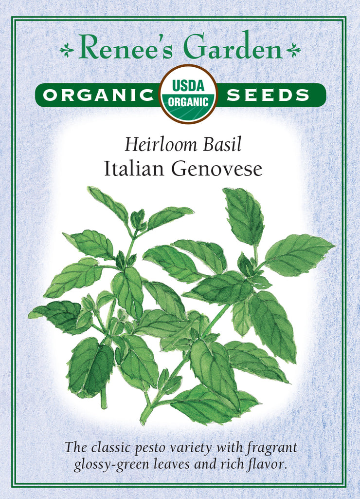 Renee's Garden Heirloom Basil Italian Genovese