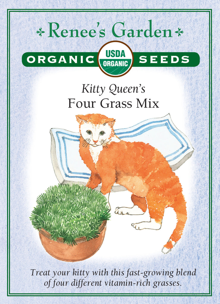 Renee's Garden Kitty Queen's Four Grass Mix