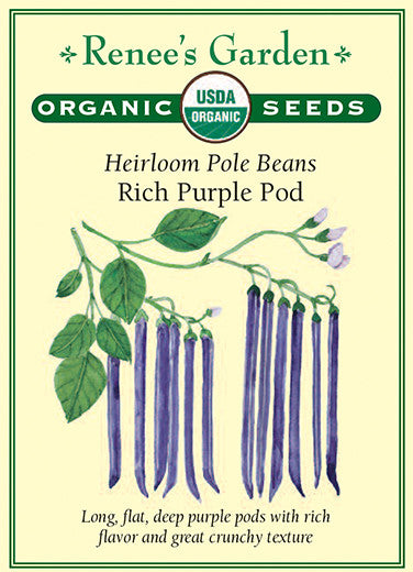 Renee's Garden Heirloom Beans Pole Rich Purple Pod