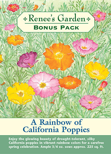 Renee's Garden Poppies Bonus Pack A Rainbow of California