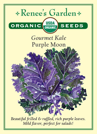 Renee's Garden Kale Gourmet Purple Moon