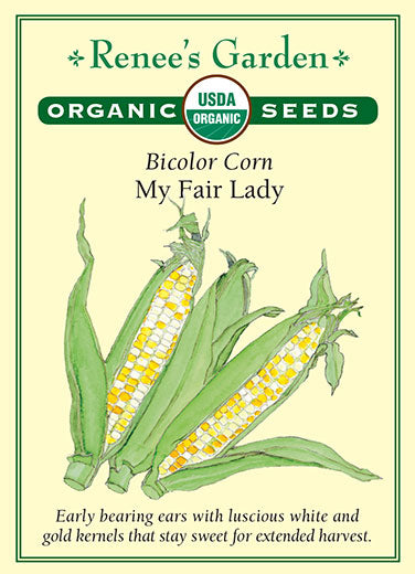 Renee's Garden Corn Bicolor My Fair Lady