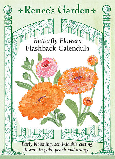 Renee's Garden Calendula Butterfly Flowers Flashback