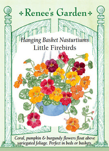 Renee's Garden Nasturtiums Hanging Basket Little Firebirds