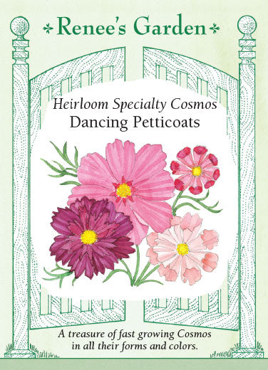 Renee's Garden Specialty Cosmos Dancing Petticoats