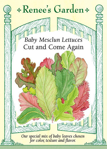 Renee's Garden Baby Mesclun Lettuces Cut and Come Again