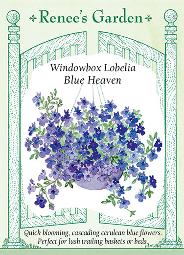 Renee's Garden Windowbox Lobelia Blue Heaven