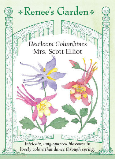 Renee's Garden Heirloom Columbines Mrs. Scott Elliot