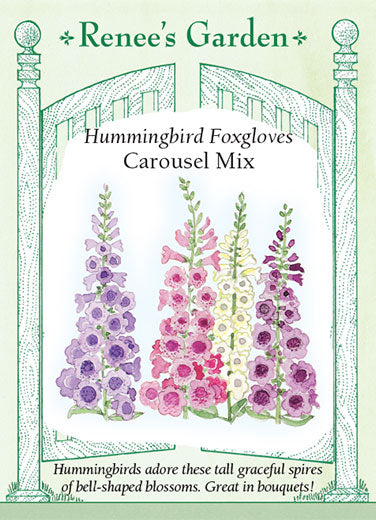 Renee's Garden Hummingbird Foxgloves Carousel Mix
