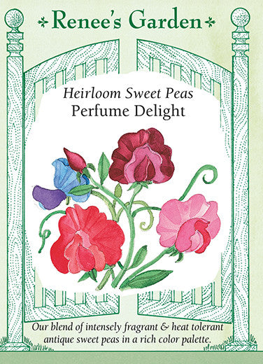 Renee's Garden Heirloom Sweet Peas Perfume Delight