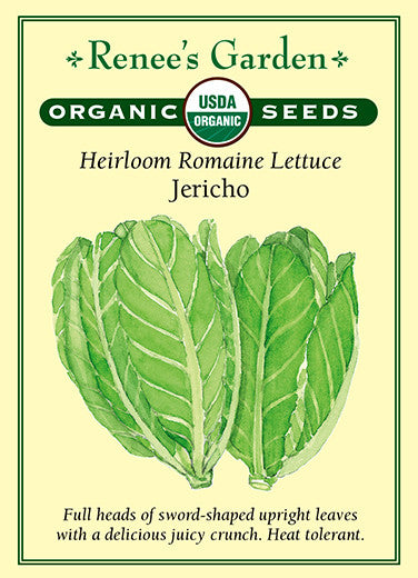 Renee's Garden Heirloom Lettuce Romaine Jericho