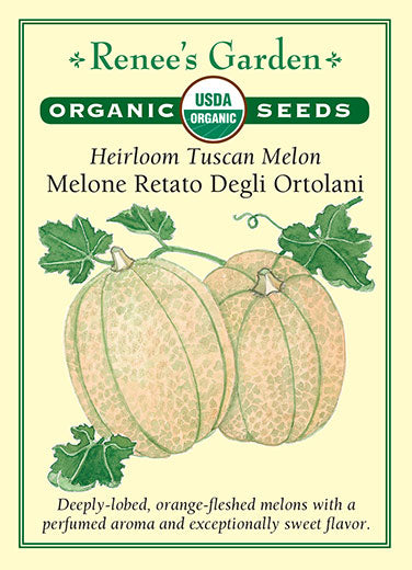 Renee's Garden Heirloom Melon Tuscan Melone Retato Degli Ortolani