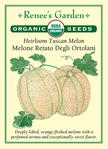 Renee's Garden Heirloom Melon Tuscan Melone Retato Degli Ortolani