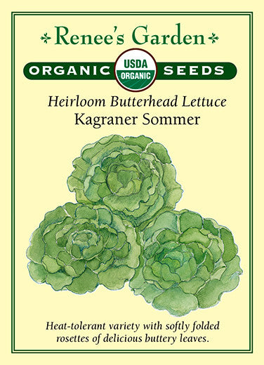 Renee's Garden Heirloom Lettuce Butterhead Kagraner Sommer