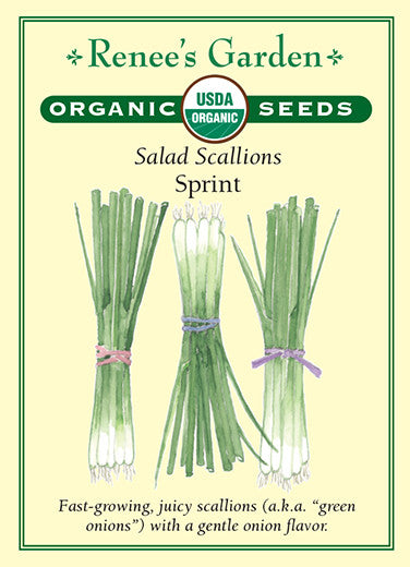 Renee's Garden Scallions Salad Sprint