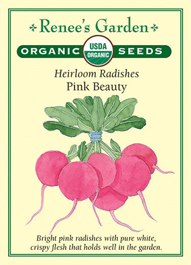 Renee's Garden Heirloom Radishes Pink Beauty