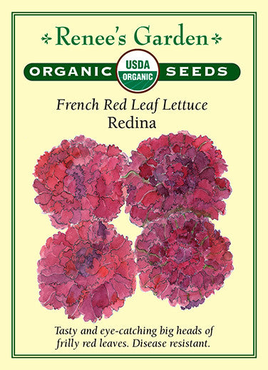 Renee's Garden French Red Leaf Lettuce Redina