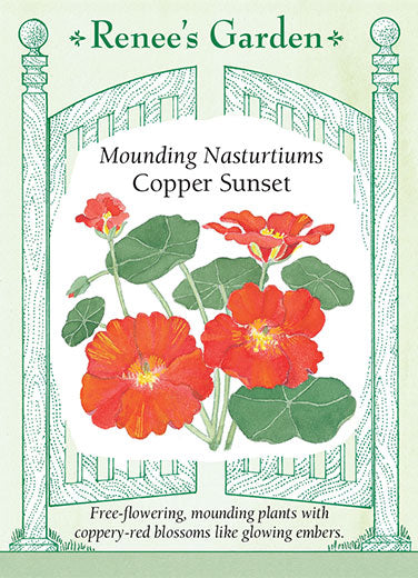 Renee's Garden Mounding Nasturtiums Copper Sunset