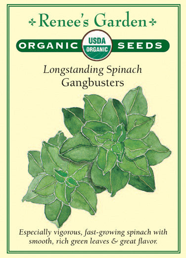 Renee's Garden Longstanding Spinach Gangbusters