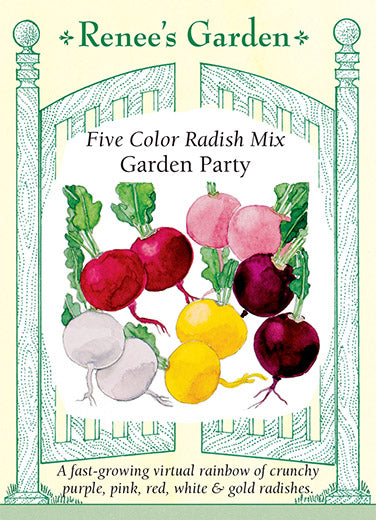 Renee's Garden Radish Five Color Mix Garden Party