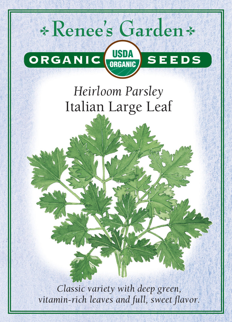 Renee's Garden Heirloom Parsley Italian Large Leaf