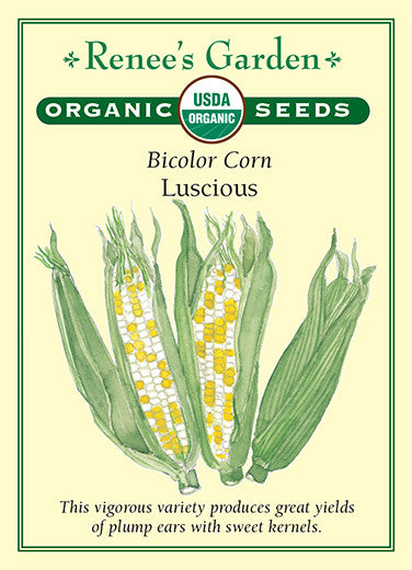 Renee's Garden Bicolor Corn Luscious