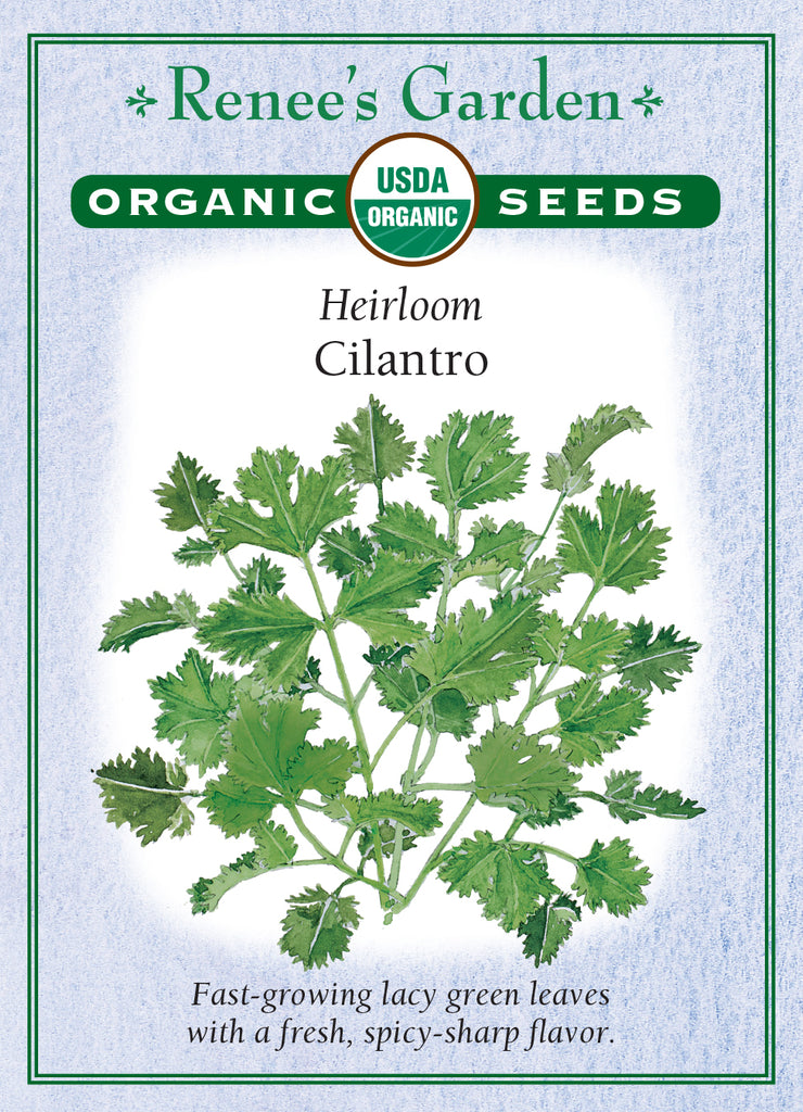 Renee's Garden Heirloom Cilantro