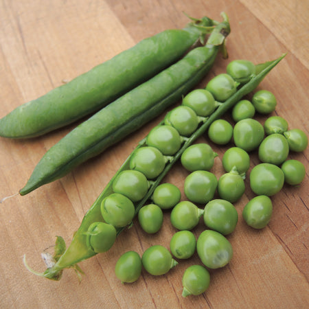 Territorial Seed Company Pea Shelling Green Arrow