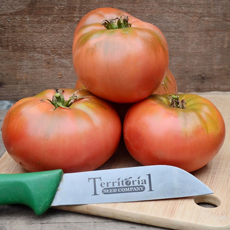 Territorial Seed Company Tomato Heirloom Cosmonaut Volkov