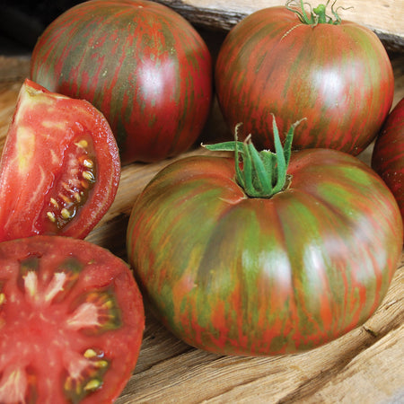 Territorial Seed Company Tomato Early Pink Berkeley Tie-Dye