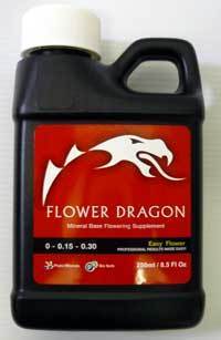 Flower Dragon