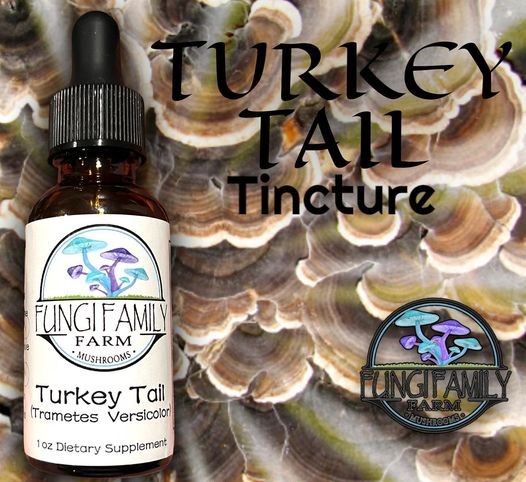 Fungi Family Farm Turkey Tail Tincture