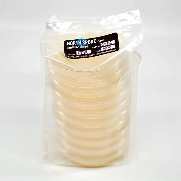 North Spore Pre-Poured Sterile Agar Plates for Mushroom Cultures